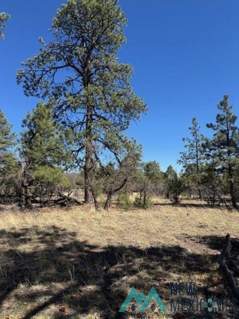 Vacant Land For Sale - Doe Run<br/> Los Ojos, NM 87551