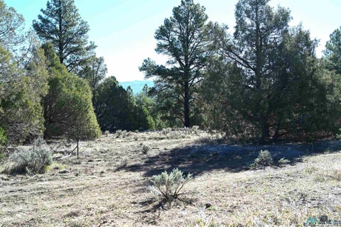 Vacant Land For Sale - Nm Sr 64<br/> Tierra Amarilla, NM 87575