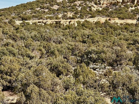 Vacant Land For Sale - Cr 2550<br/> Aztec, NM 87410