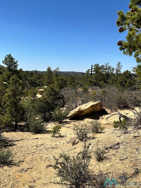 Vacant Land For Sale - Ranchero<br/> Datil, NM 87827