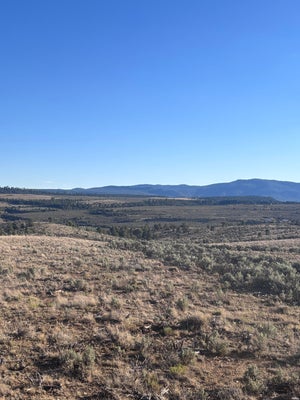 ADDRESS PRIVATE, TIERRA AMARILLA, NM 87575 - Image 7cb18c9cbb21ced79c73a2b86b2ee5eb/3924040444