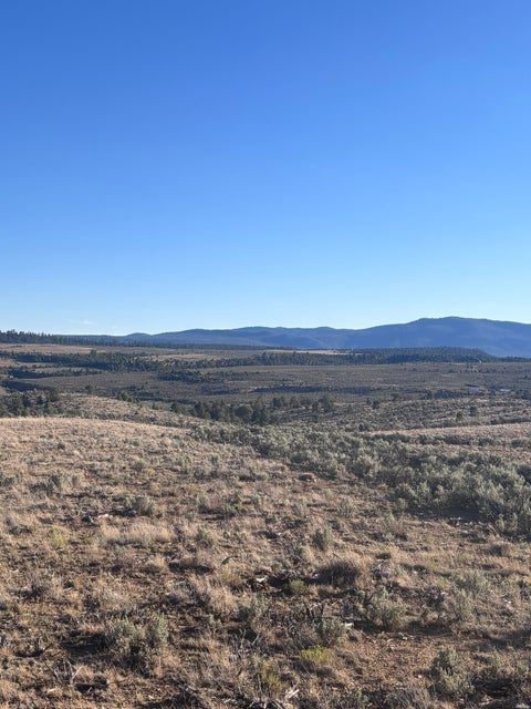 Vacant Land For Sale - 31 Lot     Rancho Del Vado #31<br/> Tierra Amarilla, NM 87575