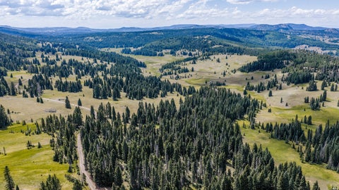 Vacant Land For Sale - Buckman Rd.<br/> Chama, NM 87520
