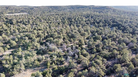 Vacant Land For Sale - Clements<br/> Cibola County, Pinehill, NM 87357
