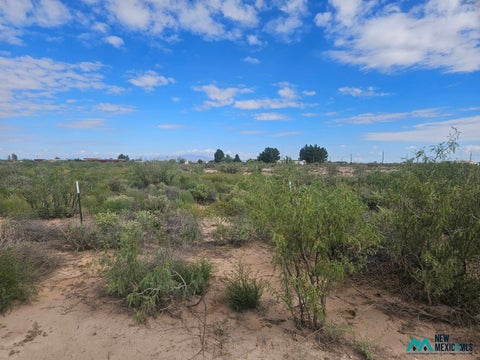 Vacant Land For Sale - 1234 S Luna Rd Se<br/> Deming, NM 88030