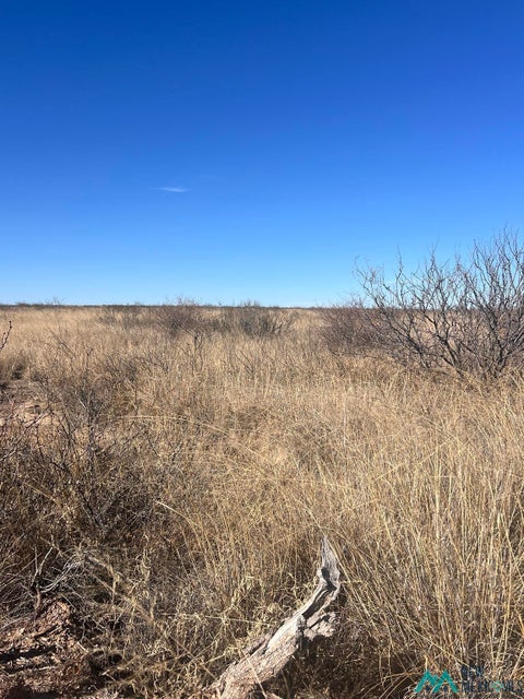 Vacant Land For Sale - Spokane<br/> Chaves County, Lake Arthur, NM 88253