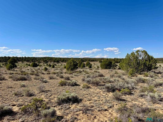 PINTO TRL, PINEHILL, NM 87357 - Image 8a4dfaa8baefb7b4a54eaf8b43629f0d/851939364