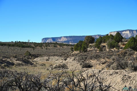 Vacant Land For Sale - Pecos Dr<br/> Tierra Amarilla, NM 87575