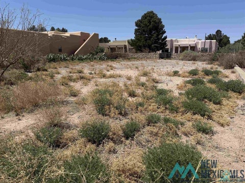 Vacant Land For Sale - Eagle<br/> Luna County, Deming, NM 88030