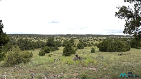 Vacant Land For Sale - 7 Indian Maiden Ct<br/> Quemado, NM 87829