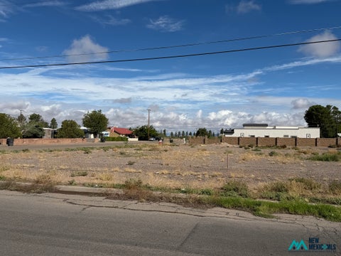 Vacant Land For Sale - Yucca Dr Tract 4<br/> Deming, NM 88030