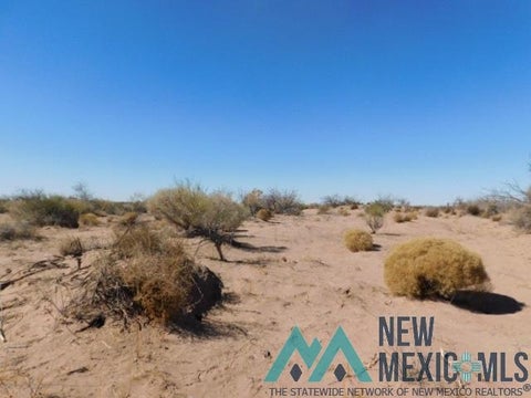Vacant Land For Sale - Durango Rd Sw<br/> Deming, NM 88030