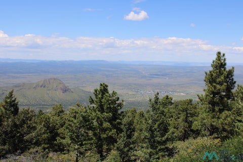 Vacant Land For Sale - Magdalena Mountain Top<br/> Socorro County, Magdalena, NM 87825