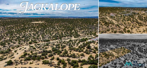Vacant Land For Sale - Land<br/> Farmington, NM 87402