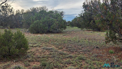 Vacant Land For Sale - 115 Cimarron Drive #96<br/> Catron County, Quemado, NM 87829