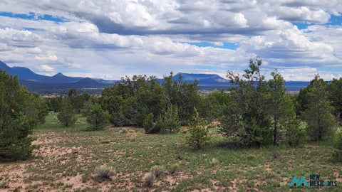 Vacant Land For Sale - Mangas Road<br/> Catron County, Datil, NM 87821