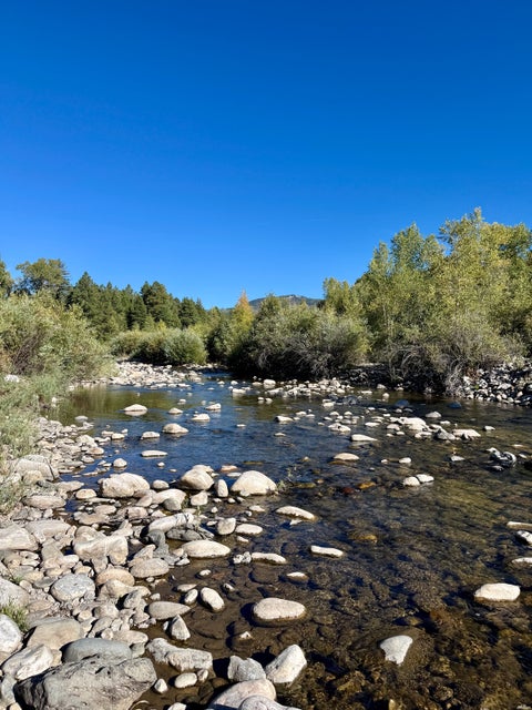 Vacant Land For Sale - 1 Private Drive 1752<br/> Rio Arriba County, Chama, NM 87520