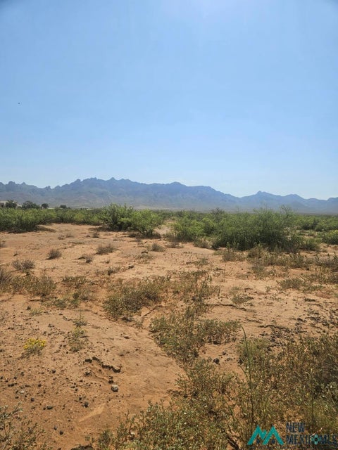 Vacant Land For Sale - Briar Rd Se<br/> Luna County, Deming, NM 88030