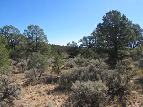 Vacant Land For Sale - #57<br/> Tres Piedras, NM 87577