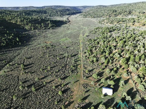 Vacant Land For Sale - Fs 301l<br/> Rio Arriba County, Dulce, NM 87528