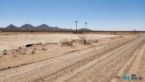 Vacant Land For Sale - Land<br/> Deming, NM 88030