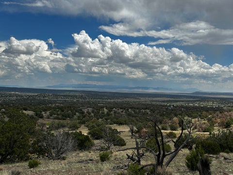 Vacant Land For Sale - 1 Hilltop Dr<br/> Datil, NM 87821