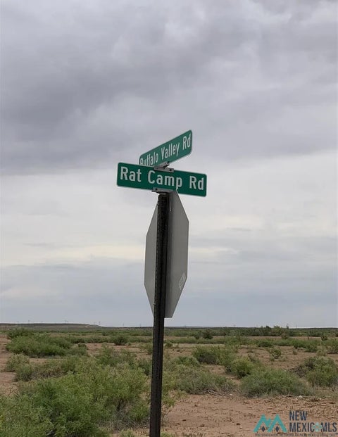 Vacant Land For Sale - 1384 Rat Camp Rd<br/> Chaves County, Lake Arthur, NM 88253