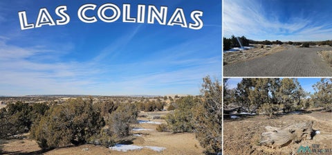Vacant Land For Sale - 1811 Placitas Trl<br/> Farmington, NM 87401