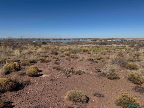 Vacant Land For Sale - 2558 Megan Dr<br/> Logan, NM 88426