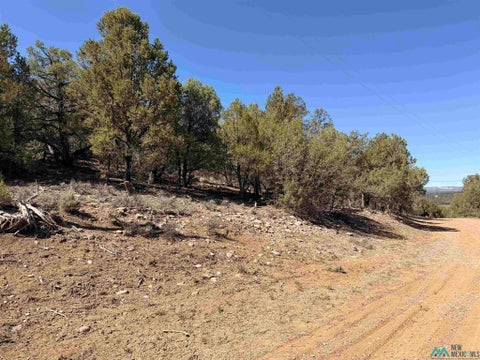 Vacant Land For Sale - Talavera Sd<br/> Tierra Amarilla, NM 87575