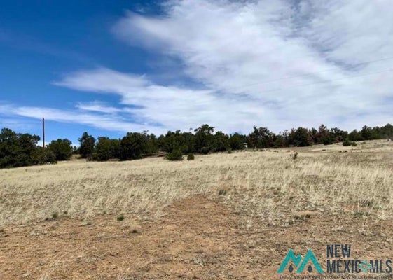 18 5 GATE RD, PINEHILL, NM 87357 - Image bc56a6f5cfd745e039f400afd235e1a2/3929333777