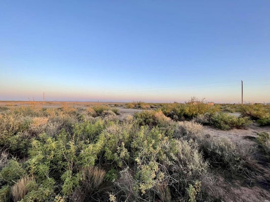 ADDRESS PRIVATE, DEMING, NM 88030 - Image bc9da7cac783c84b60a5de5fc73711ea/2241750186