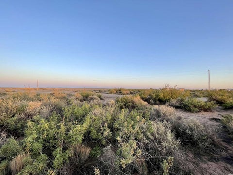 Vacant Land For Sale - Land<br/> Deming, NM 88030