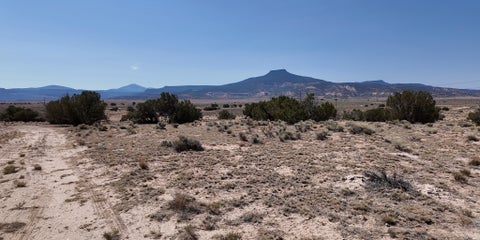 Vacant Land For Sale - 29 State Road 96 Rd #7<br/> Abiquiu, NM 87510