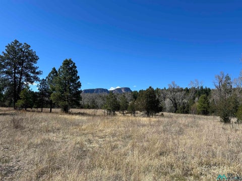 Homes For Sale - 18 Camino Verde<br/> Gallinas, NM 87731