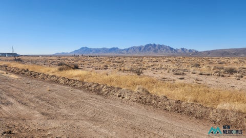 Vacant Land For Sale - S Palo Verde<br/> Deming, NM 88030