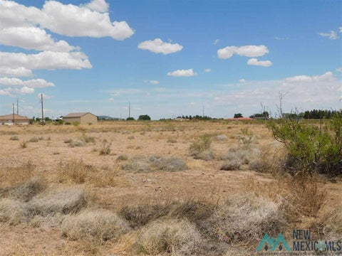 Vacant Land For Sale - Dove Lane<br/> Luna County, Deming, NM 88030