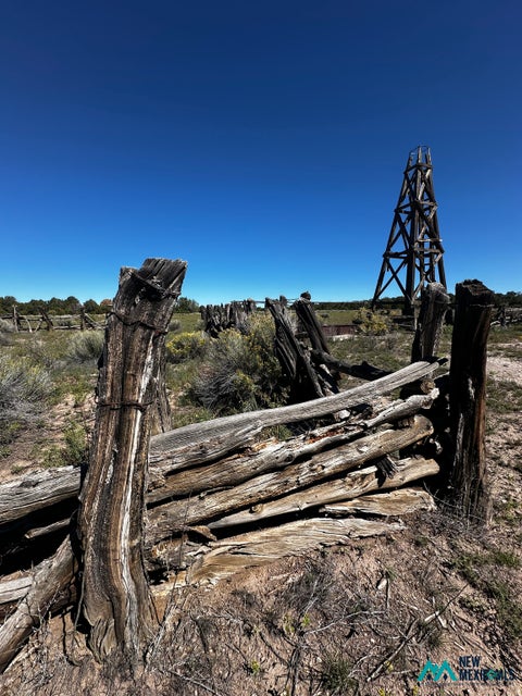 Vacant Land For Sale - Farm<br/> Pie Town, NM 87827