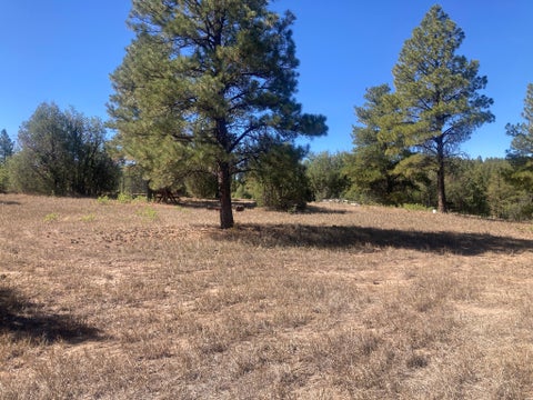 Vacant Land For Sale - #30-A<br/> Rio Arriba County, Tierra Amarilla, NM 87575