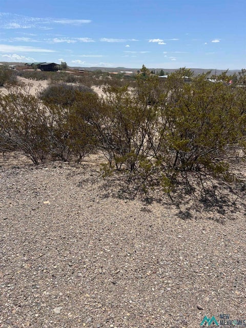 Vacant Land For Sale - 1 Country Club Blvd<br/> Sierra County, Elephant Butte, NM 87901