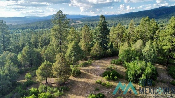 LAKE VIEW DR, CHAMA, NM 87520 - Image ceff35f95263eb04a7c325f6fa84a1d4/2000721976