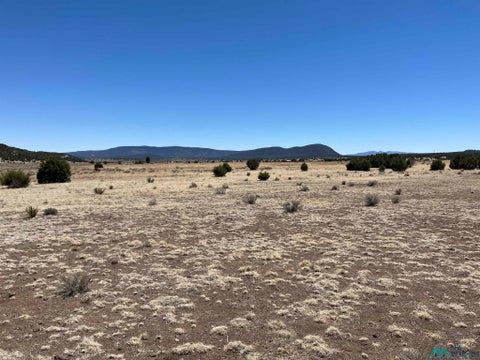 Vacant Land For Sale - 23 Lost Cabin Subdivision<br/> Catron County, Aragon, NM 87820