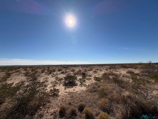 JICARILLA RD, HAGERMAN, NM 88232 - Image dacd785e5a2b9aaba8ae6462e60a98dd/3582859649