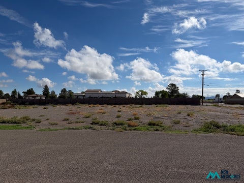 Vacant Land For Sale - Yucca Dr Tract 3<br/> Deming, NM 88030