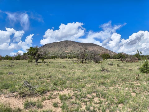 Vacant Land For Sale - 77 Wildwood Lot 77<br/> Datil, NM 87821