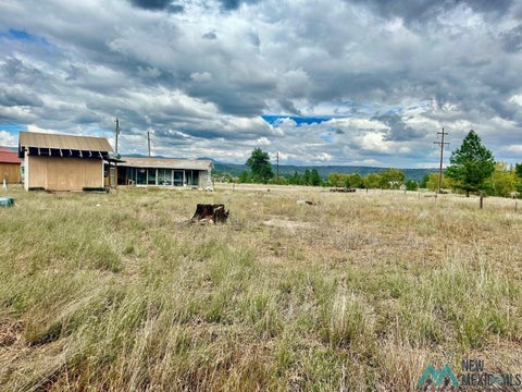 Mobile Home For Sale - Hooser<br/> Catron County, Luna, NM 87824