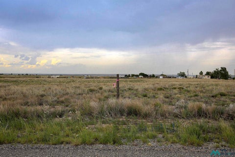 Vacant Land For Sale - Mallard Ave<br/> Chaves County, Roswell, NM 88201