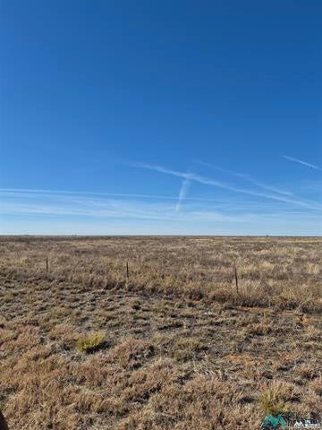 Vacant Land For Sale - 5950 206 Highway<br/> Roosevelt County, Pep, NM 88126