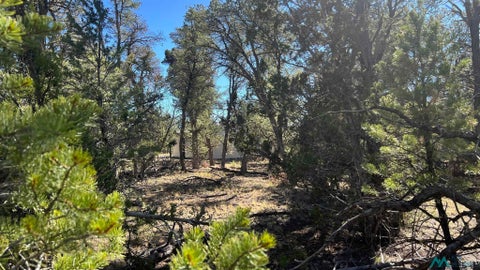 Vacant Land For Sale - Paradise Loop<br/> Quemado, NM 87829