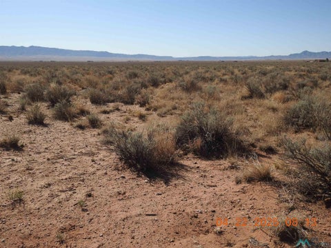 Vacant Land For Sale - Canilla<br/> Valencia County, Belen, NM 87002